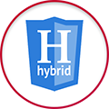 hybrid